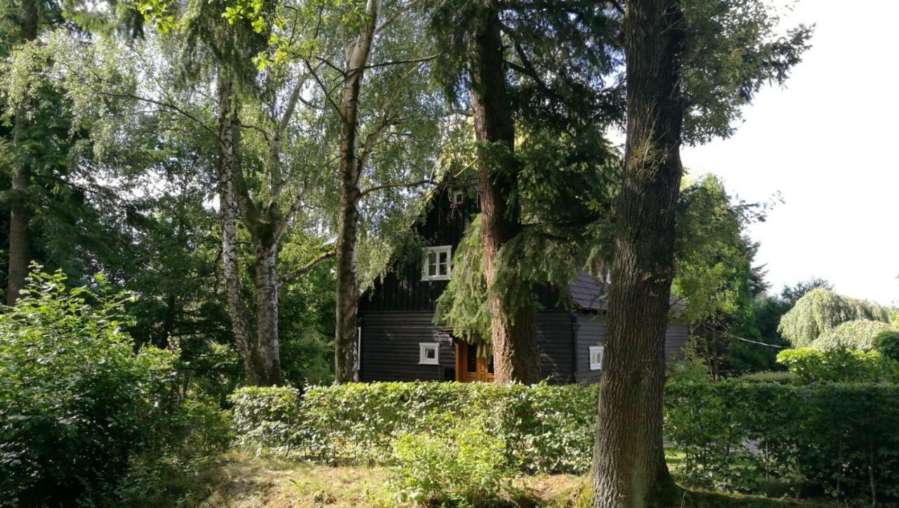 "Haus Am Knobben" Villa อุสลาร์ ภายนอก รูปภาพ