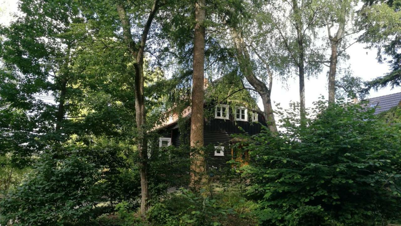 "Haus Am Knobben" Villa อุสลาร์ ภายนอก รูปภาพ